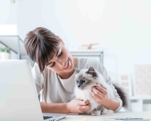 Young woman sitting at desk and cuddling her lovely cat, togetherness and pets concept