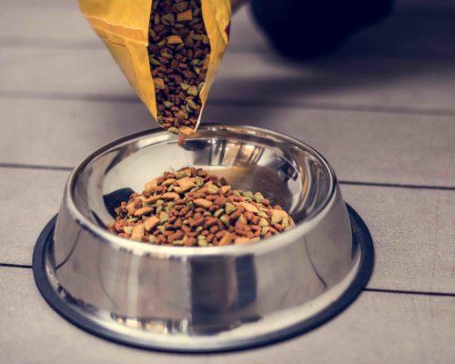 Pouring pet food into a bowl Pouring pet food into a bowl